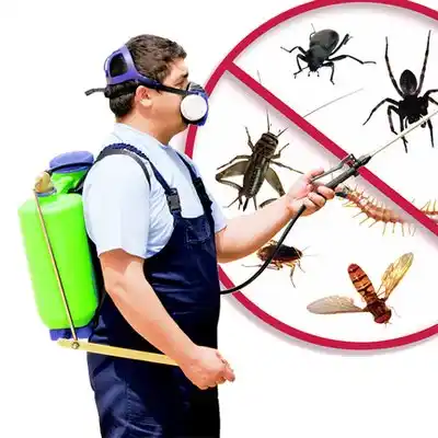 pest control Frankfort